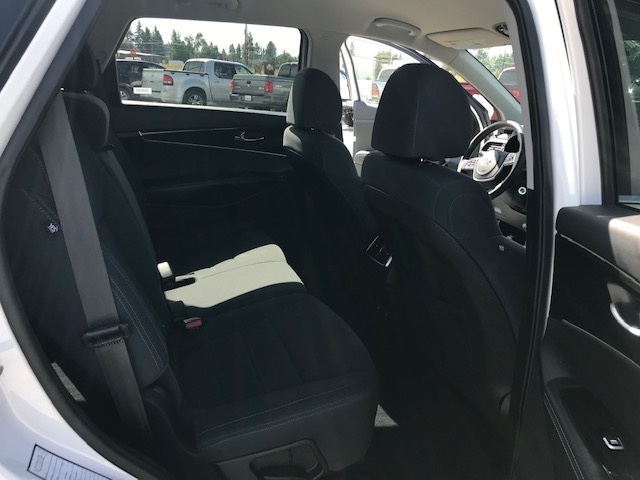 2019 Kia Sorento 1